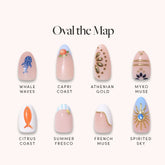 Oval the Map